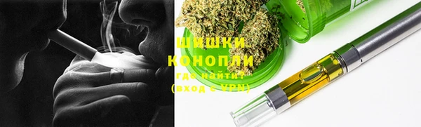 гидра Баксан