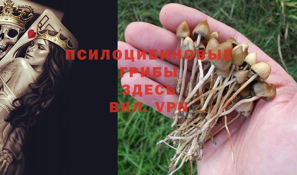 ешки Балабаново