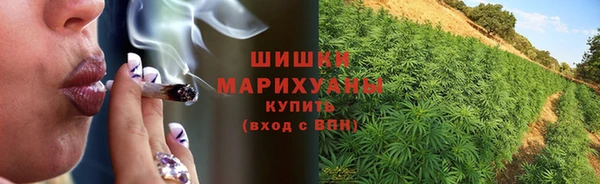 гидра Баксан