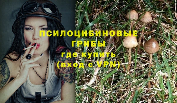 гидра Баксан