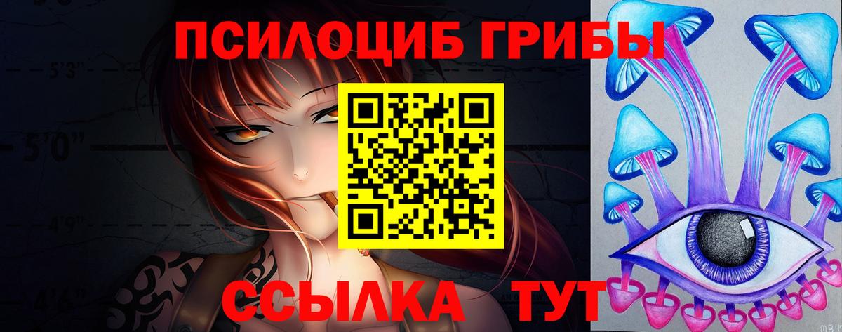 Псилоцибиновые грибы мицелий  Галлюциногенные грибы Psilocybine cubensis  Коммунар  Вход с VPN 